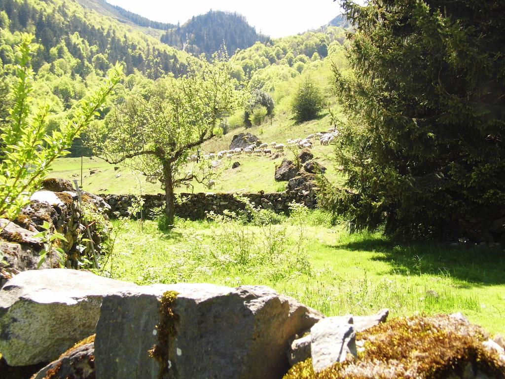 Gite Auberge Les Cascades La Mongie Bagian luar foto