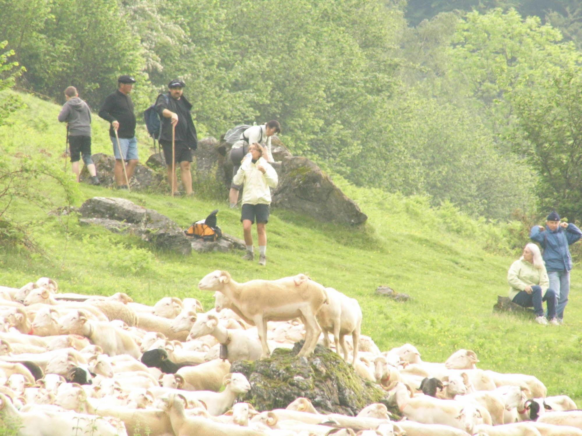 Gite Auberge Les Cascades La Mongie Bagian luar foto