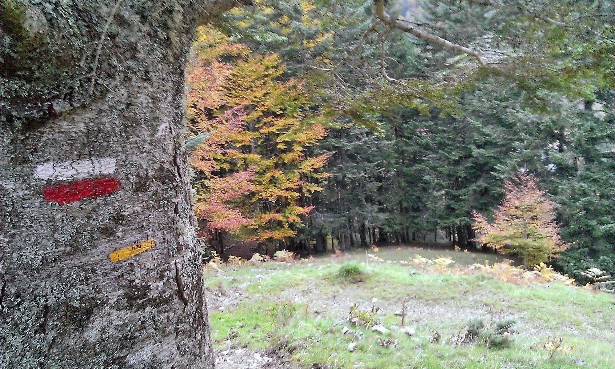 Gite Auberge Les Cascades La Mongie Bagian luar foto